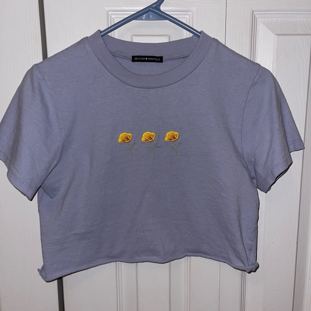 Cropped brandy Melville shirt with flowers